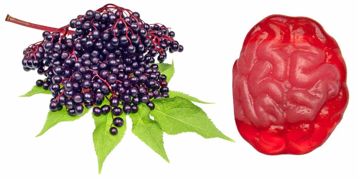 elderberry-gummies-tulsa-pharmacy elderberry-gummies-tulsa-pharmacy