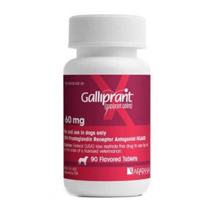 Galliprant Osteoarthritis Medication for Dogs | NextGenRx Pharmacy